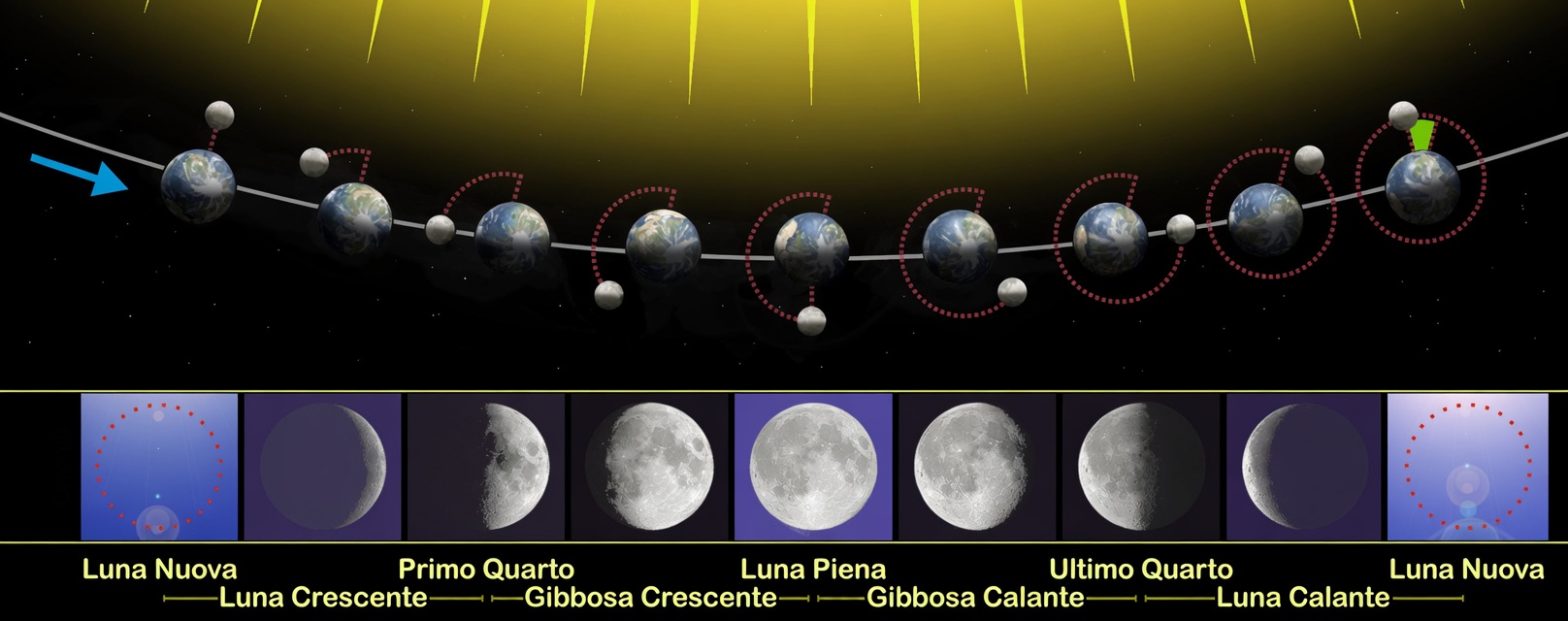 Un grafico che rappresenta le fasi lunari, ovvero come cambia l’illuminazione della Luna vista dalla Terra in ragione dell’angolo di fase.