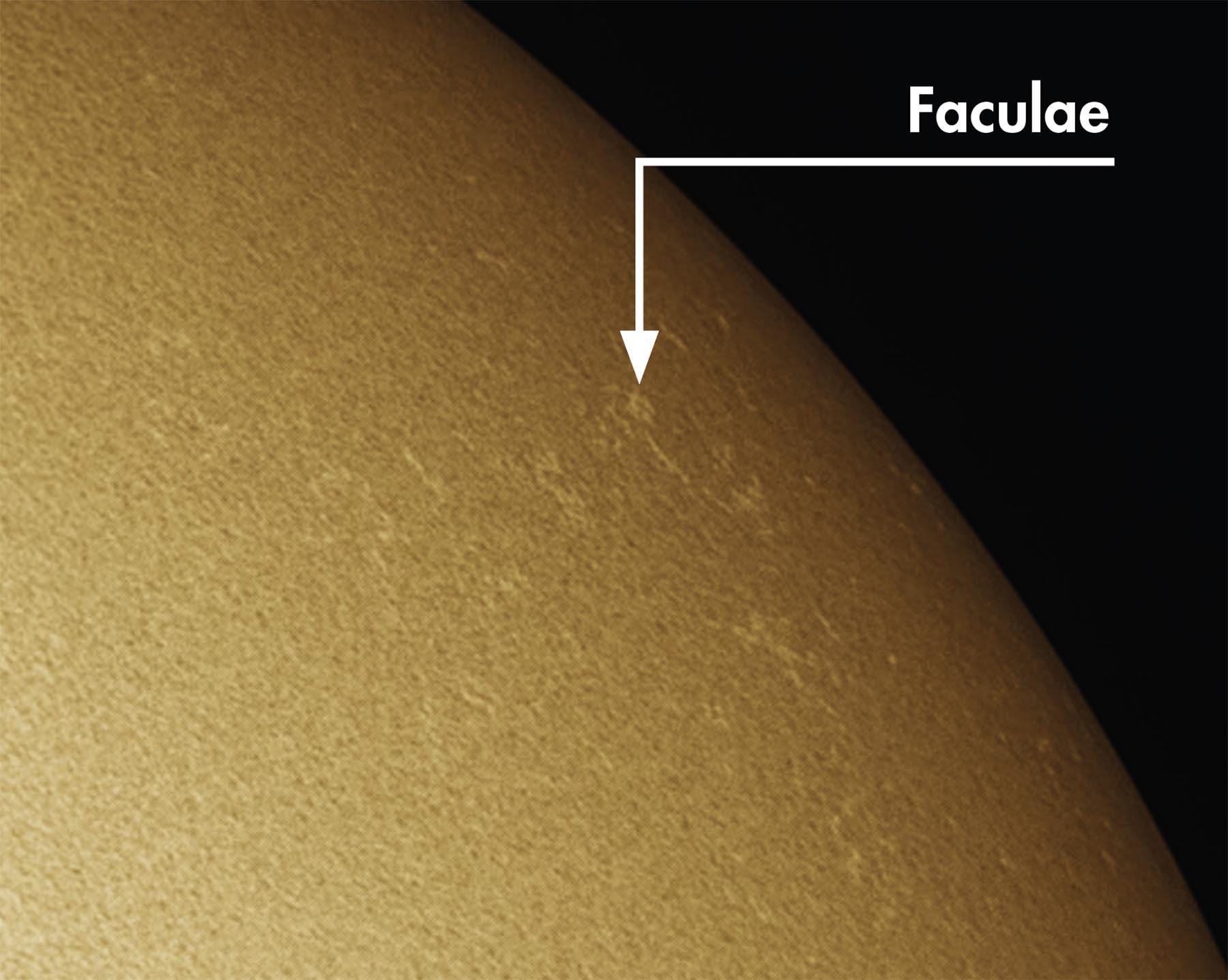 Facole (latino faculae) sulla fotosfera solare.
