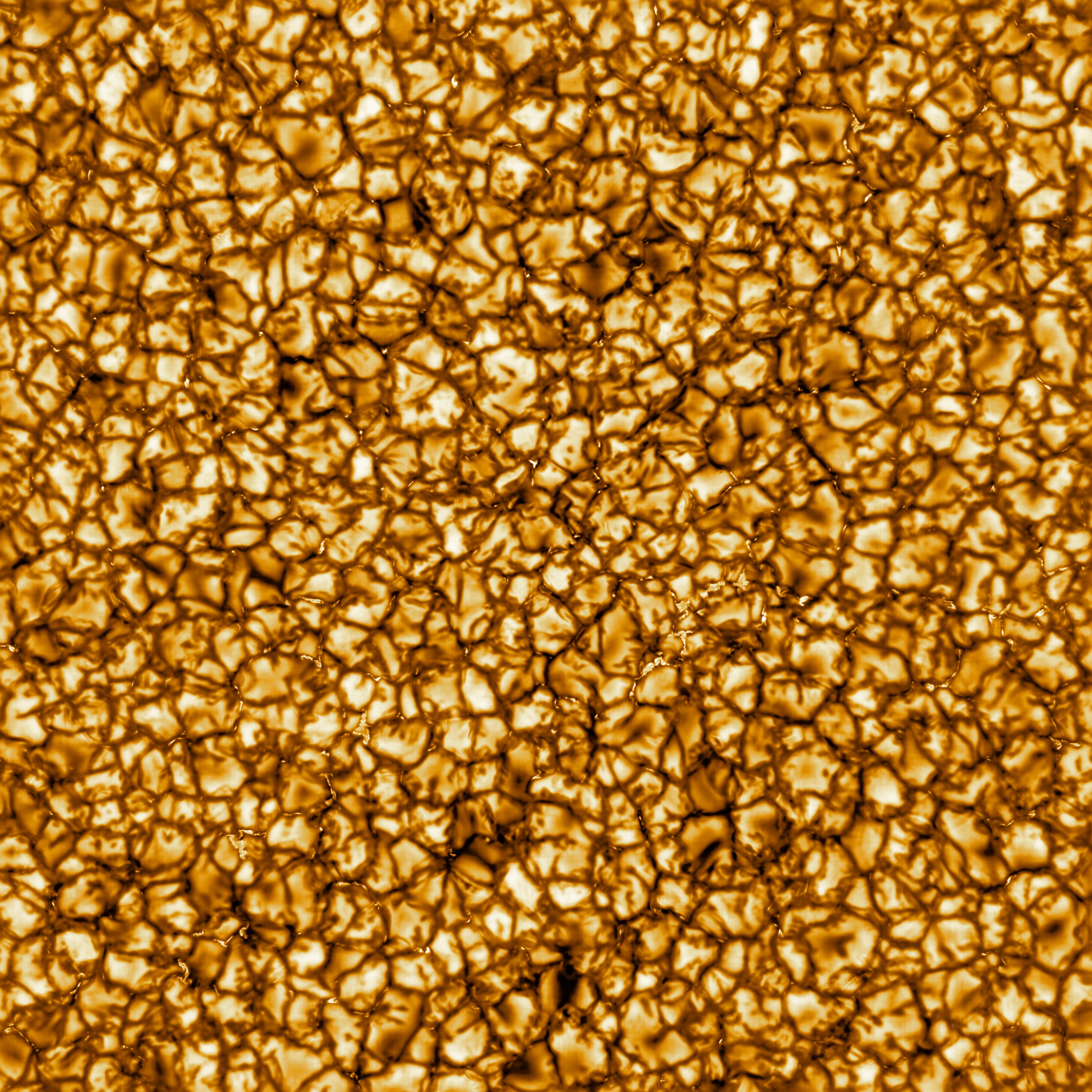 Immagine ad altissima risoluzione di granuli sulla fotosfera solare ripresa dal Daniel K. Inouye Solar Telescope.