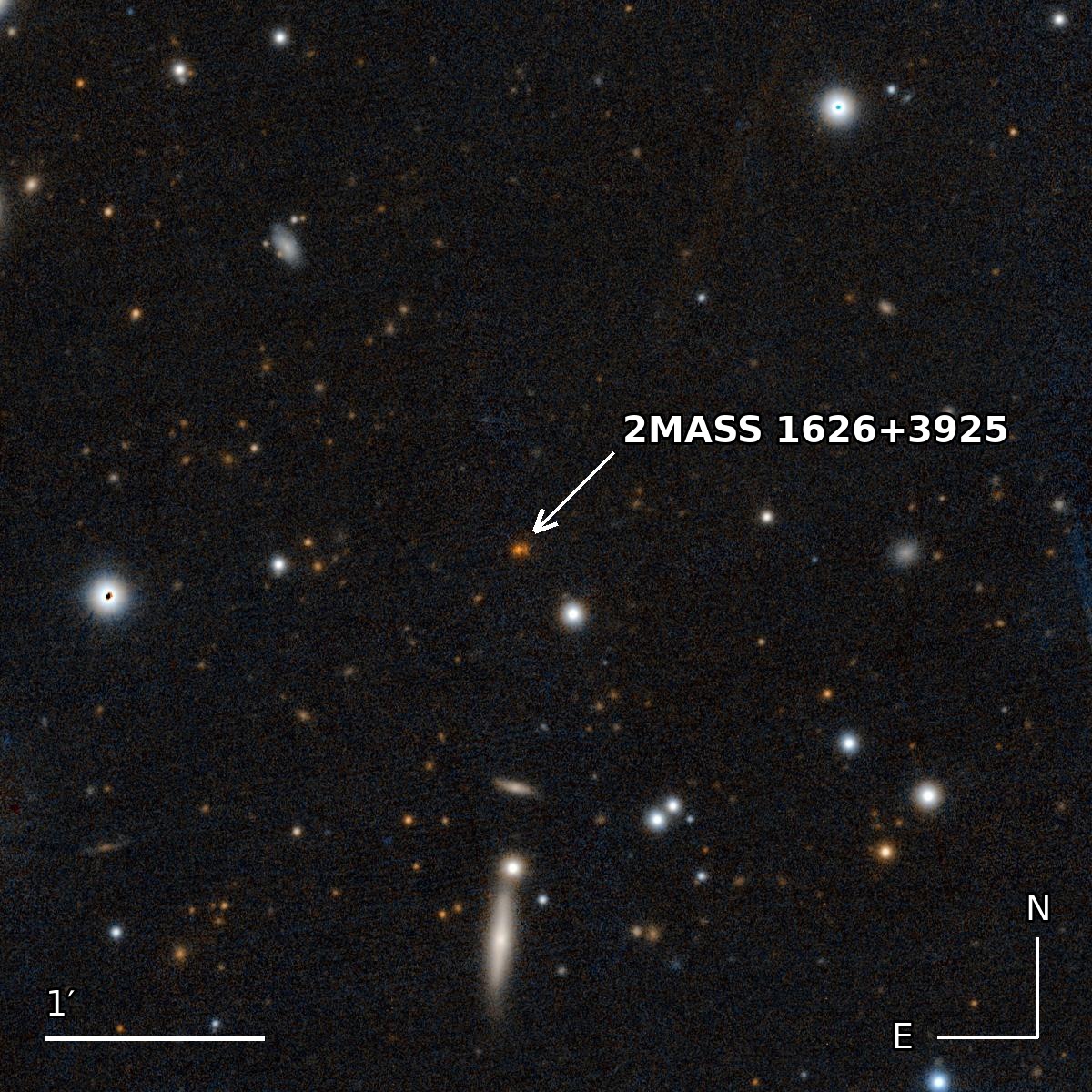 Il campo di cielo intorno a 2MASS 1626+3925 ripreso da Pan-STARRS1, con molte piccole galassie lontane sullo sfondo.