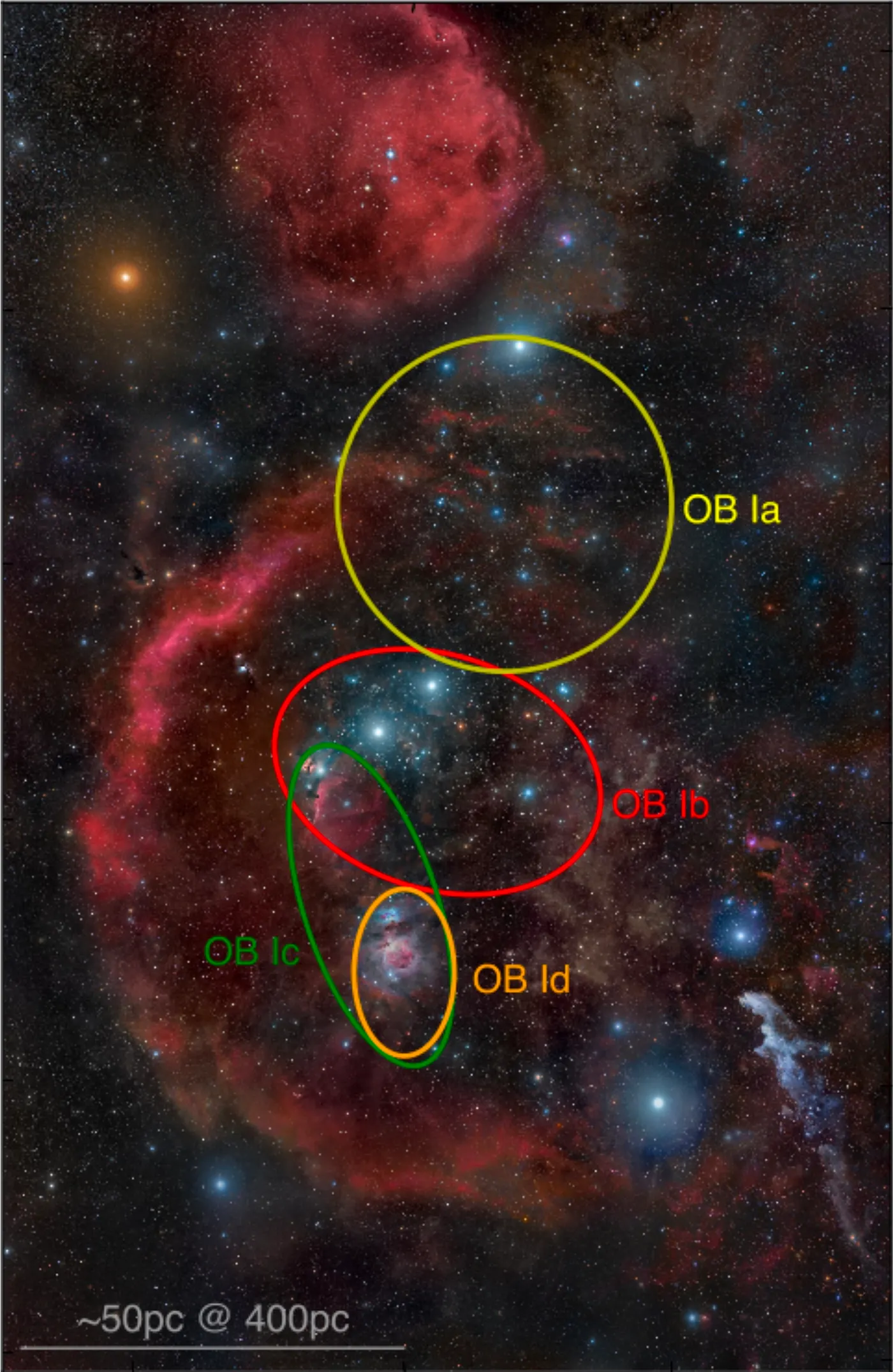 La dislocazione spaziale di massima dei quattro sottogruppi in cui Blaauw suddivise l’Associazione stellare Orion OB1.