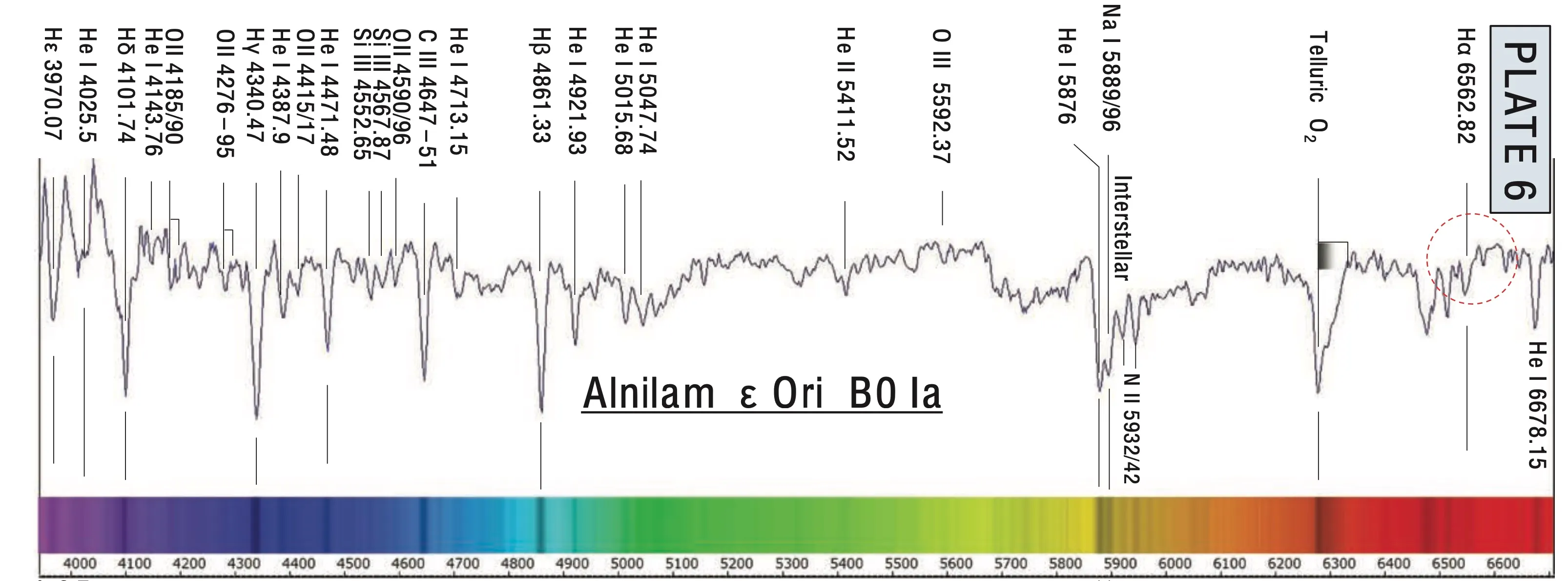 Lo spettro di Alnilam nelle lunghezze d’onda della luce visibile.
