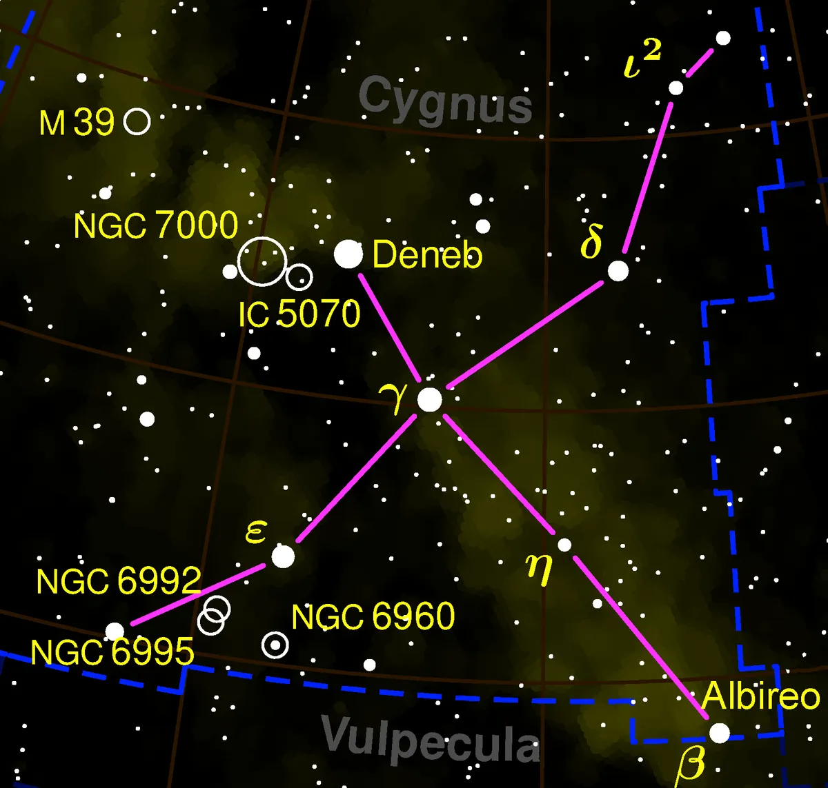 Deneb marca la posizione della coda del Cigno, Albireo quella della testa
