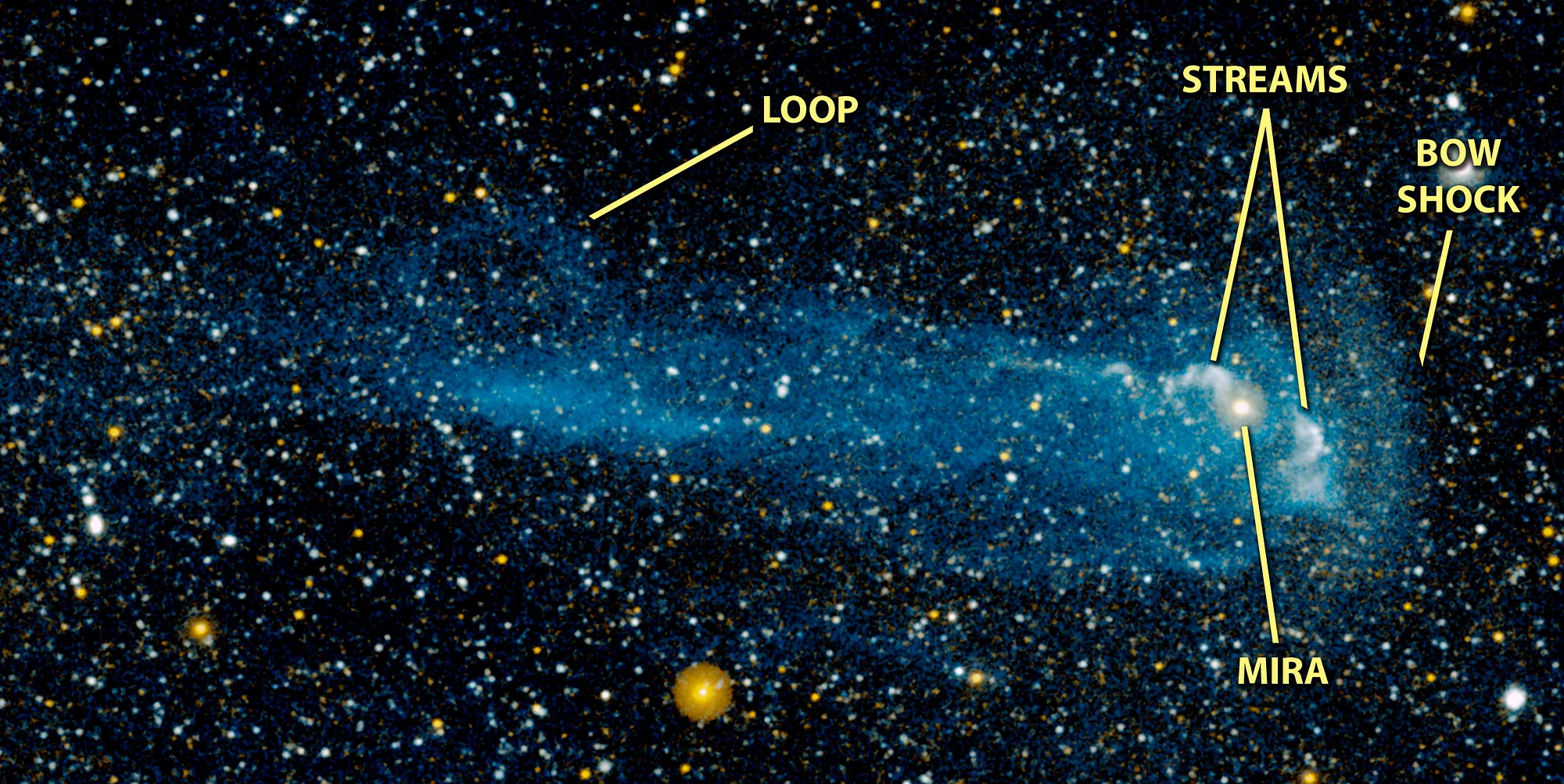 Immagine annotata di Mira e della sua coda. *Bow shock* è l’onda d’urto prodotta dall’avanzare impetuoso della stella.