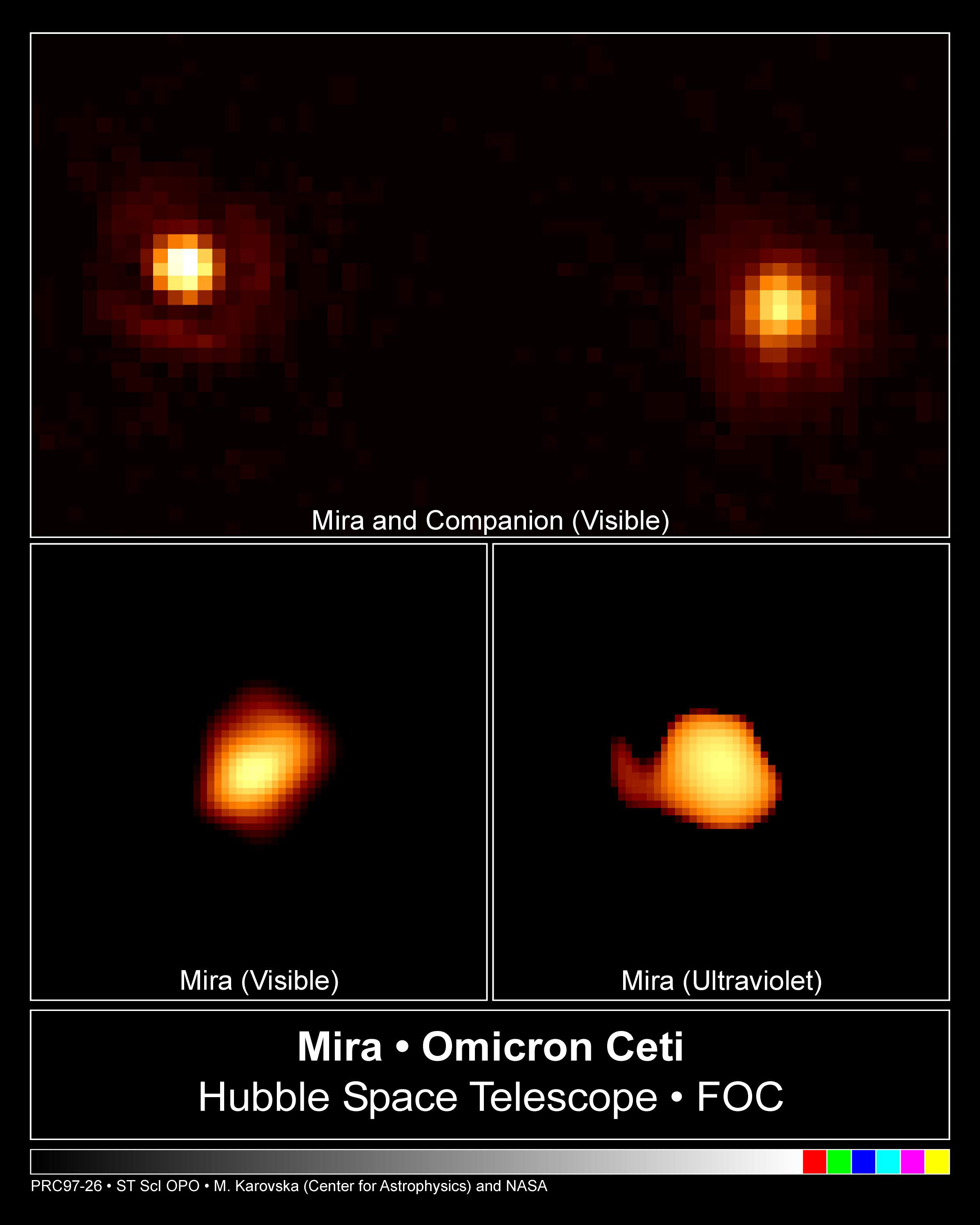 Nel 1995 il telescopio spaziale Hubble, con la sua potenza, riuscì a cogliere come oggetti distinti Mira A (in alto a destra), dalla sua compagna binaria Mira B (in alto a sinistra).