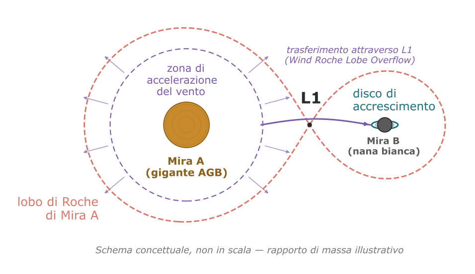 Schema del trasferimento di massa da Mira A a Mira B attraverso il punto di Lagrange L1