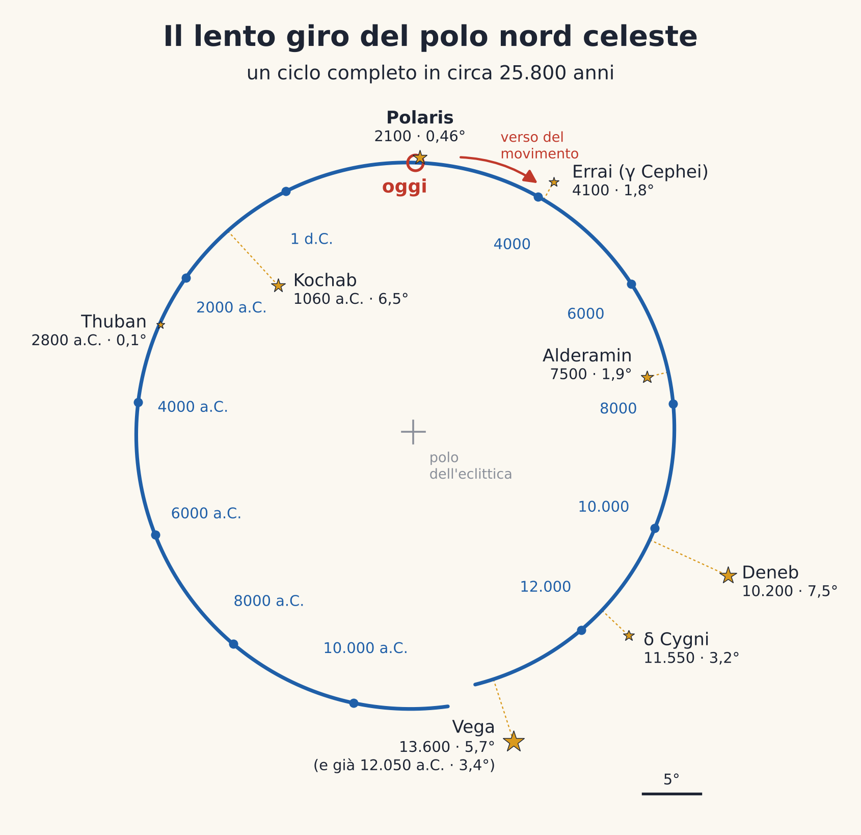 Schema del percorso del polo nord celeste nei millenni, con le stelle che si alternano come stella polare.