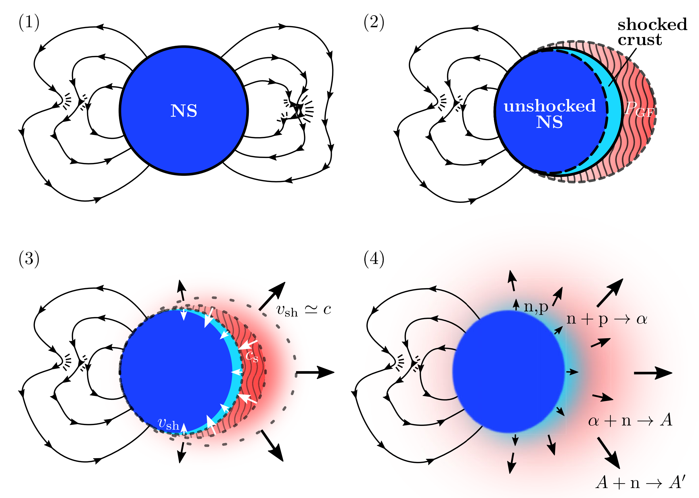 Le quattro fasi del meccanismo di espulsione di materia proposto da Cehula, Thompson e Metzger per spiegare l'origine dei barioni nella nebulosa radio di SGR 1806-20.