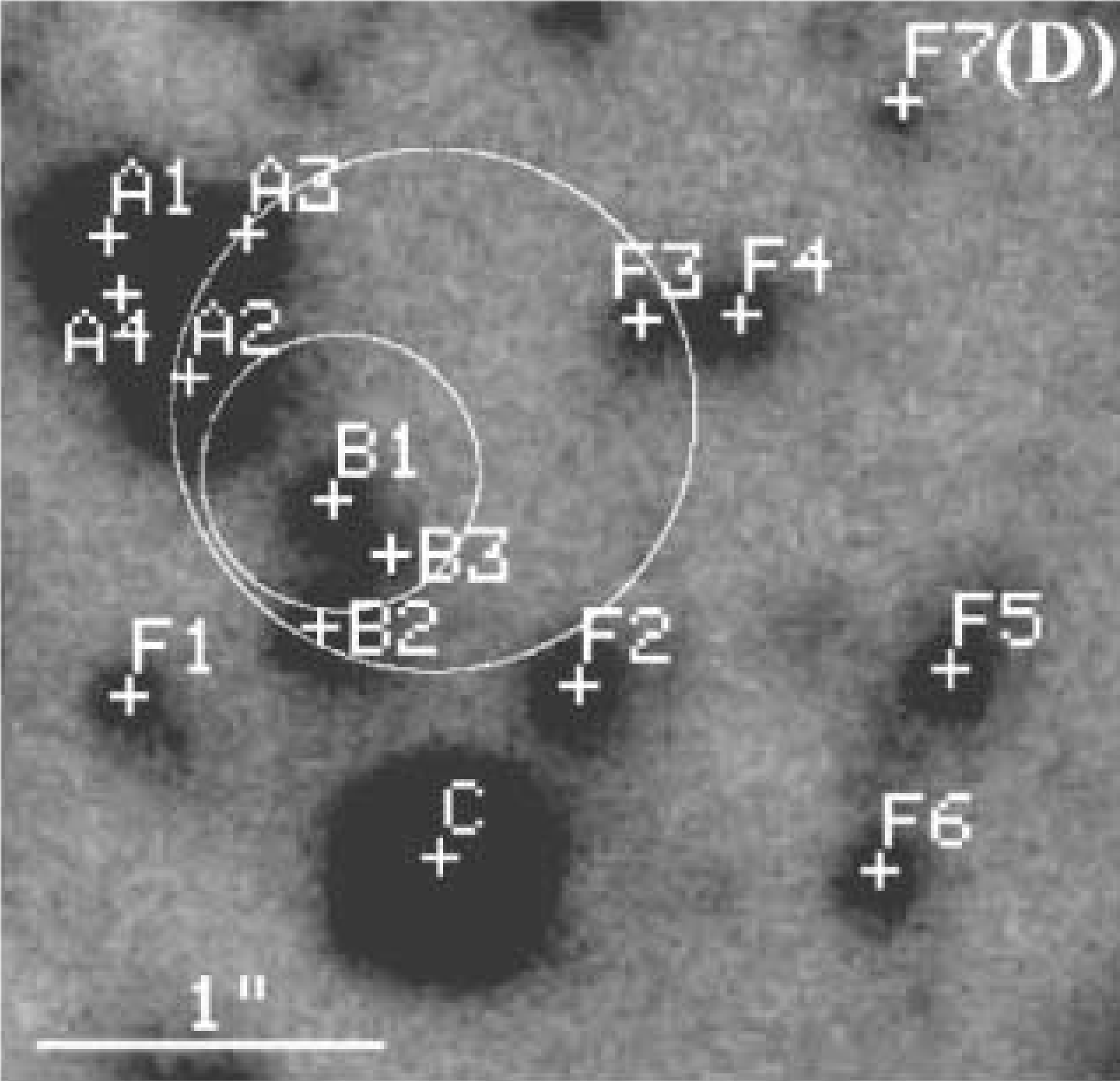 Primo piano del campo di SGR 1806-20 in banda *K′*, ripreso dal telescopio Subaru con ottica adattiva, combinando le pose migliori della seconda e della terza epoca di osservazione (agosto e settembre 2004). La stella B3 è quella che gli autori propongono come probabile controparte infrarossa della magnetar.
