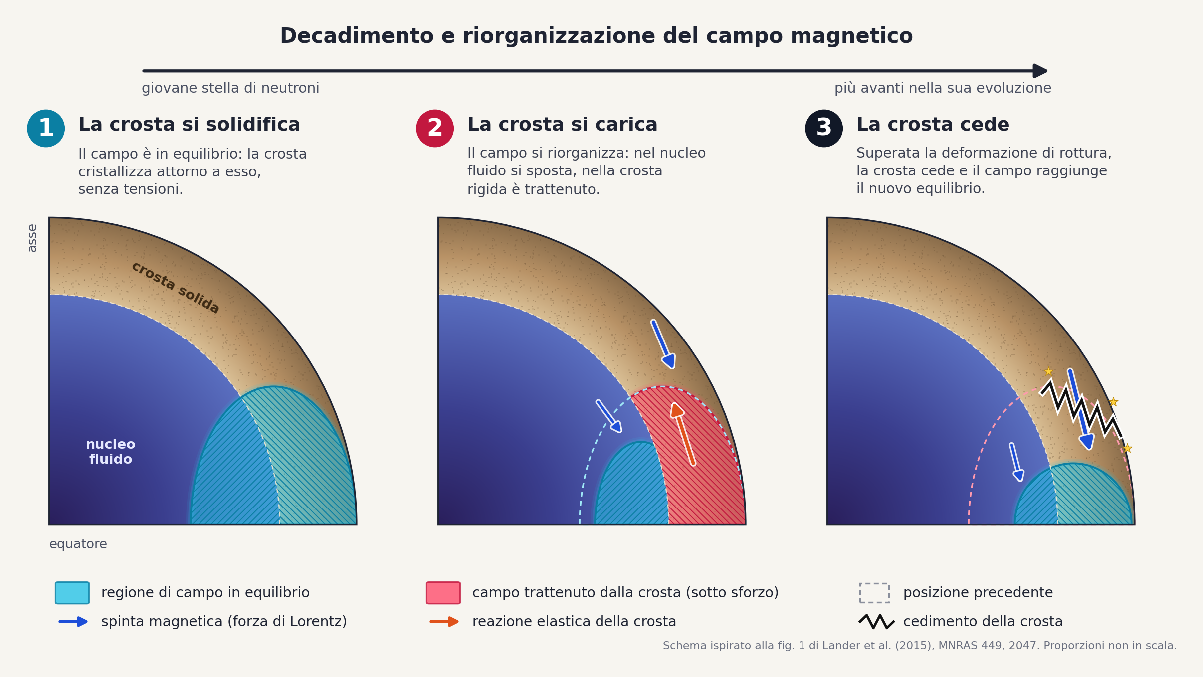 Schema in tre fasi del modo in cui il campo magnetico può rompere la crosta di una magnetar: solidificazione senza tensioni, accumulo di sforzi, cedimento di una regione della crosta.