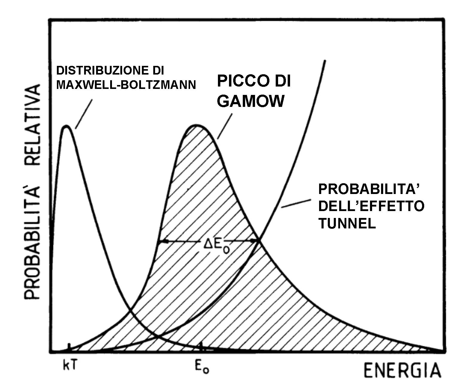 Grafico del picco di Gamow: distribuzione di Maxwell-Boltzmann, probabilità di effetto tunnel e loro prodotto