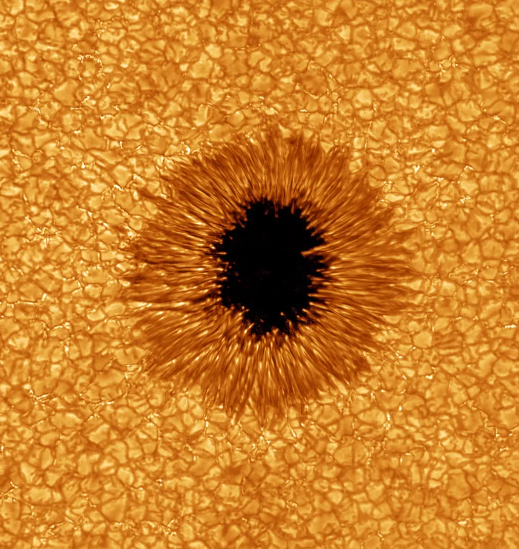 Immagine ad alta risoluzione della fotosfera solare, con una macchia solare e il tappeto di granuli