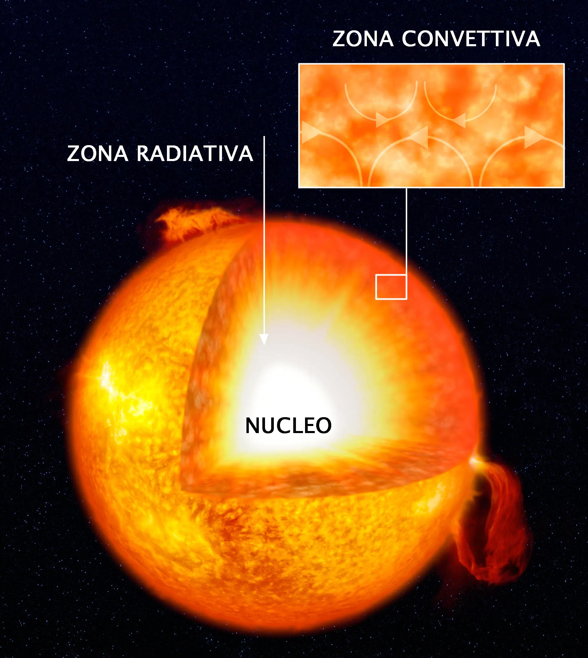 La struttura interna del Sole