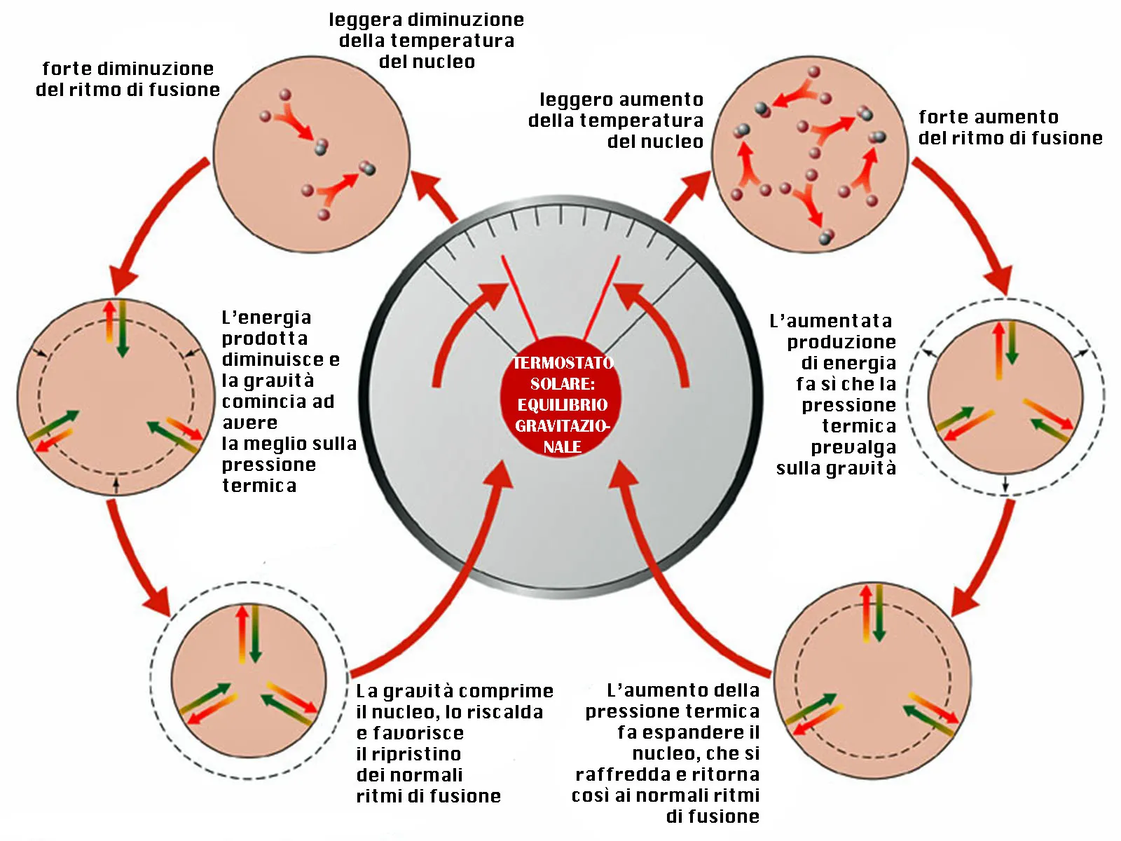 Il Sole funziona come un perfetto termostato naturale